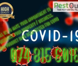 Pest Out Pest Control and Disinfecting