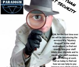 Paradigm Security Solutions