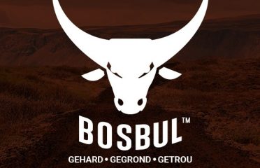 Bosbul