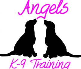 Angels K-9 Training